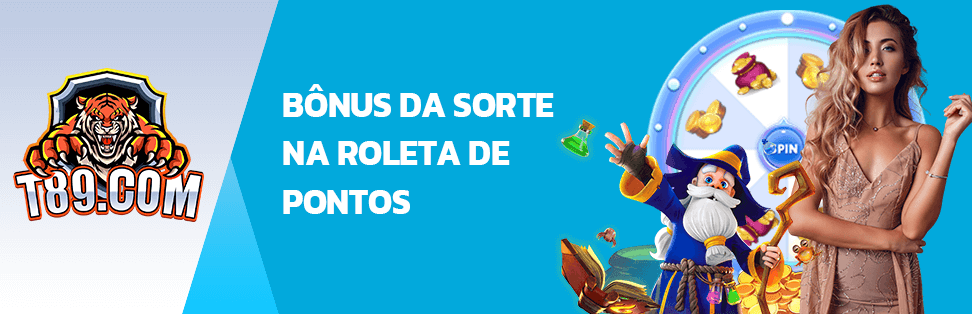 novo slot do gato